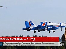 Пилотаж высшего уровня: авиационная группа &laquo;Русские витязи&raquo; отмечает свой день рождения