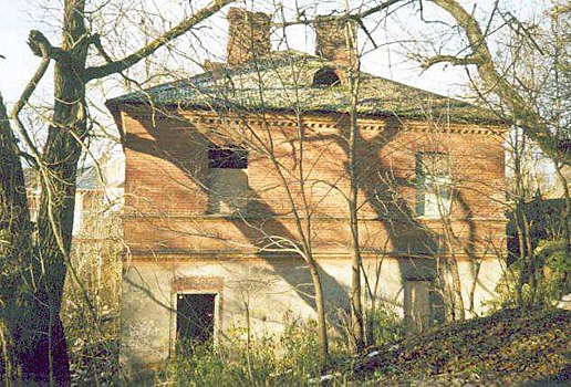 Комитет по охране культурного наследия обвинил Салопова в разрушении псковского памятника