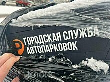 «Мы не Детройт»: Дятлова объяснила новое постановление о создании платных парковок в Калининграде