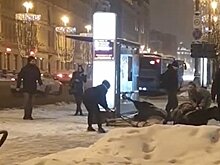 Лошадь убило током в центре Москвы