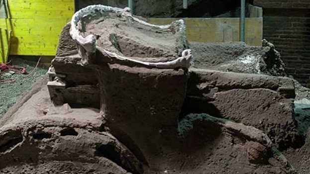 Колесницу с четырьмя колесами нашли в Помпеях