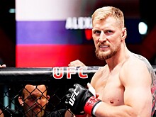 Волков не может отказаться от боя с Павловичем