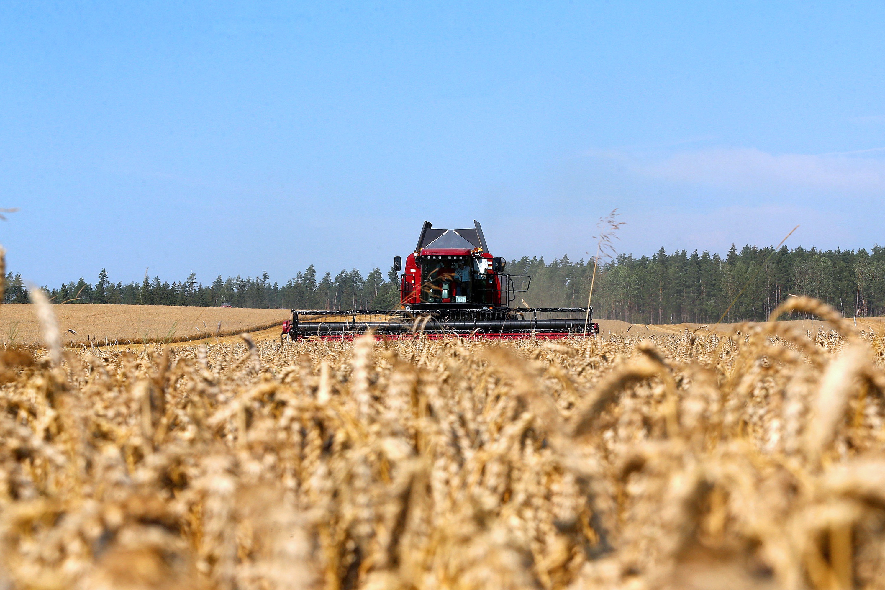Лукашенко сформулировал первоочередные задачи в аграрном секторе