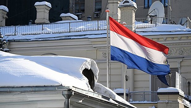 В посольство Нидерландов в Москве прислали порошок