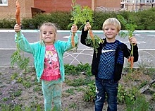 Юные жители Внуковского собрали урожай