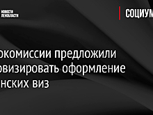 В Еврокомиссии предложили цифровизировать оформление шенгенских виз