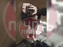 В Перми школьницы жестоко избили девочку в туалетной кабинке ТЦ