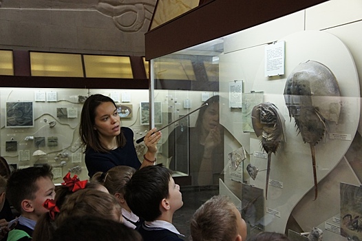 Палеонтологический музей приглашает на свой праздник