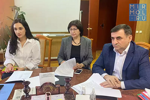 Государство и бизнес обсудили возможности расширения сферы применения ПСН в Дагестане