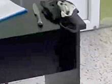 Мать архангельского экс-студента раскрыла детали его подготовки к резне в техникуме