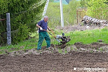 "Предлагали взять за рубль – не берут!"