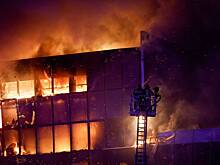 В МВД заявили о возможности наличия чипов в головах террористов в «Крокусе»