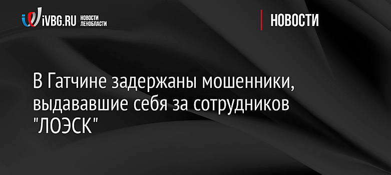 В Гатчине задержаны мошенники, выдававшие себя за сотрудников "ЛОЭСК"