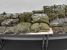 Хорватские полицейские задержали рекордный груз марихуаны