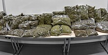 Хорватские полицейские задержали рекордный груз марихуаны