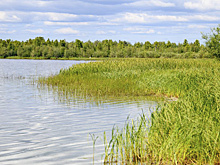 Экологи назвали чистой воду в ноябрьском озере Ханто