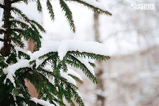 В Самарской области прогнозируются аномальные морозы с 5 января