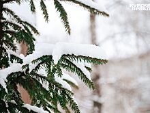 В Самарской области прогнозируются аномальные морозы с 5 января