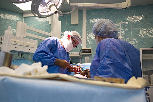 Зеленоградские врачи спасли женщину-ветерана со сложным переломом шейки бедра