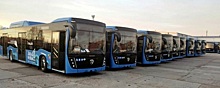 Власти Самары планируют приобрести в городской автопарк 300 автобусов