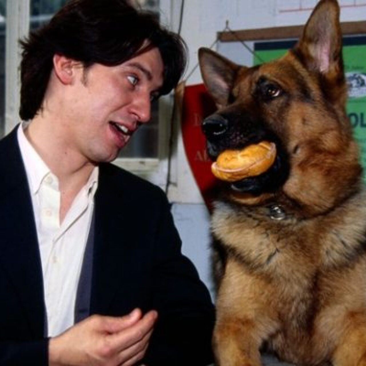 Rex is dog. Собака молли спасла. Дог рекс. Немецкая овчарка рекс билась насмерть. A dog named rex.