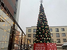 Работы по установке новогодних елей начались в Десеновском