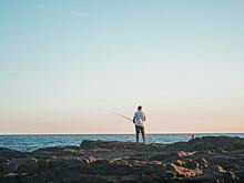 Мужчина нашел рыбу возрастом 90 миллионов лет