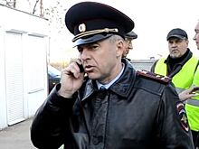 Подозреваемые в убийстве семьи Гошта признали вину