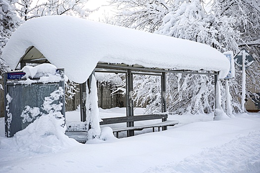 Минэнерго контролирует ремонт поврежденных из-за погоды сетей в регионах России