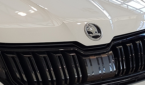 На воронежской трассе в столкновении Skoda и Toyota погиб водитель и травмированы двое пассажиров