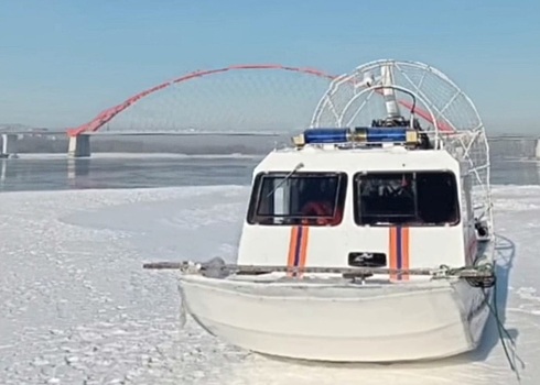 В Новосибирске спасатели помогли эвакуировать с острова трёх собак