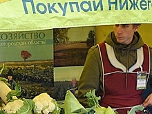 Гордеев предложил оптимизировать издержки при доставке овощей