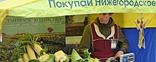 Гордеев предложил оптимизировать издержки при доставке овощей