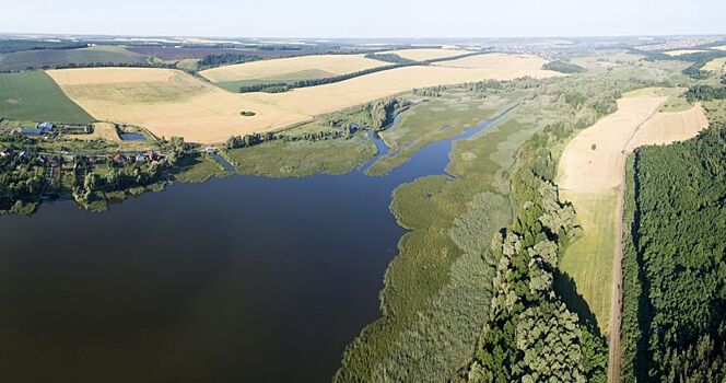 За лесами Волгоградской области будут следить из космоса