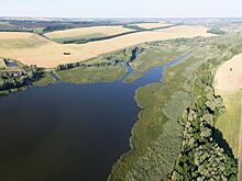 За лесами Волгоградской области будут следить из космоса