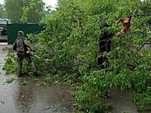 В Кирове городские службы устраняют последствия непогоды