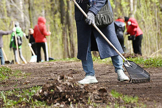 Директор ИИПСП Орлов призвал запретить проведение работодателями субботников