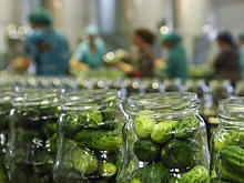 Дагестан увеличит выпуск овощных консервов на четверть в 2025 году