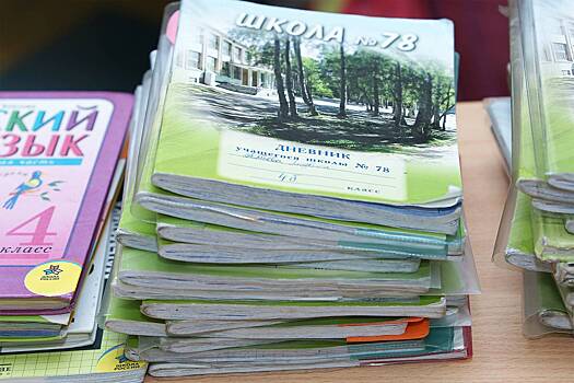 В России усомнились в одном из нововведений в учебном процессе в школах