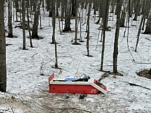 В Набережных Челнах полицейские задержали местного жителя, похищавшего из магазинов терминалы