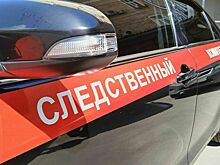 Бастрыкину доложат по факту публикаций о массовых драках подростков в Дагестане