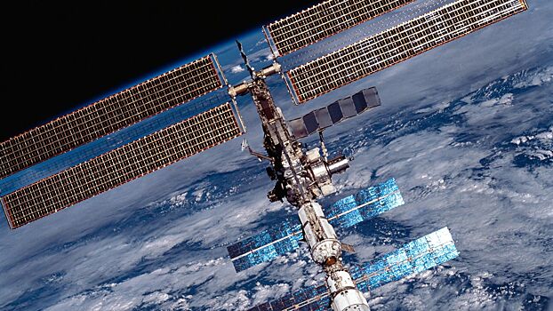 На МКС предложили завезти бактерии с Земли