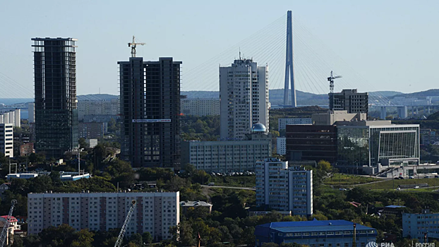 В Приморье рассказали о дополнительных мерах поддержки в сфере занятости