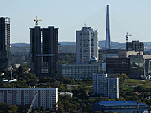В Приморье рассказали о дополнительных мерах поддержки в сфере занятости