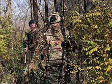 ВСУ за неделю потеряли до 1 695 военных в зоне группировки "Восток"