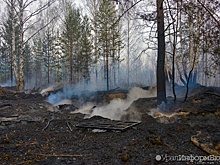 Лесные пожары навредили Югре на 190 млн рублей