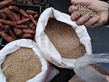 С новым ростом? Как изменится жизнь татарстанцев в 2020 году