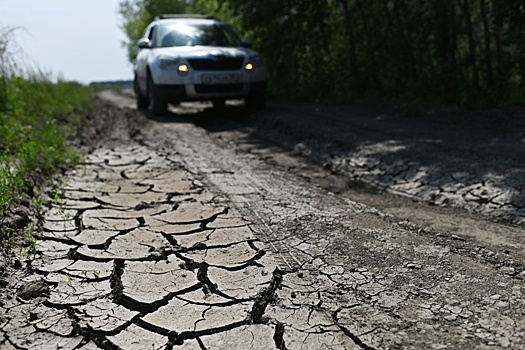 На Алтае в десять раз увеличат площадь орошаемых земель