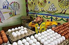 По 100 рублей и выше. Что происходит с ценами на яйца в России?