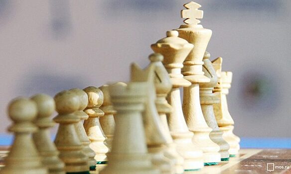 Шахматный турнир «Белая ладья. Вместе с папой» устроят в Митине